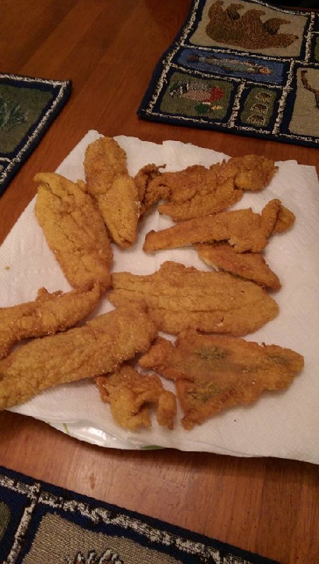 Fish Fry