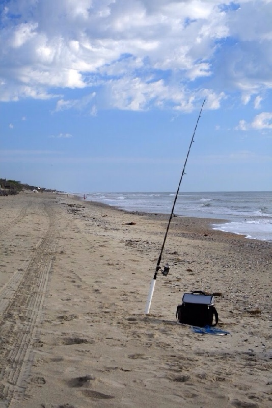 Beach Fishing