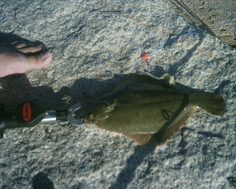 8/13/06 - Wells Beach, ME